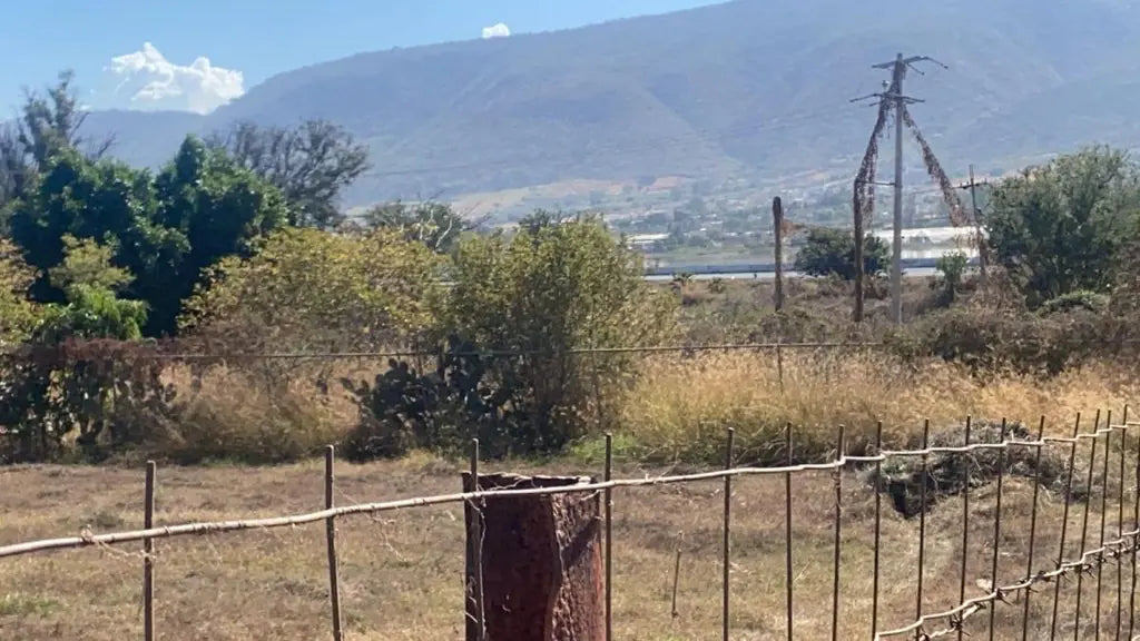 Terreno en Venta en Buena Vista, Ixtlahuacán de los Membrillos, Jalisco