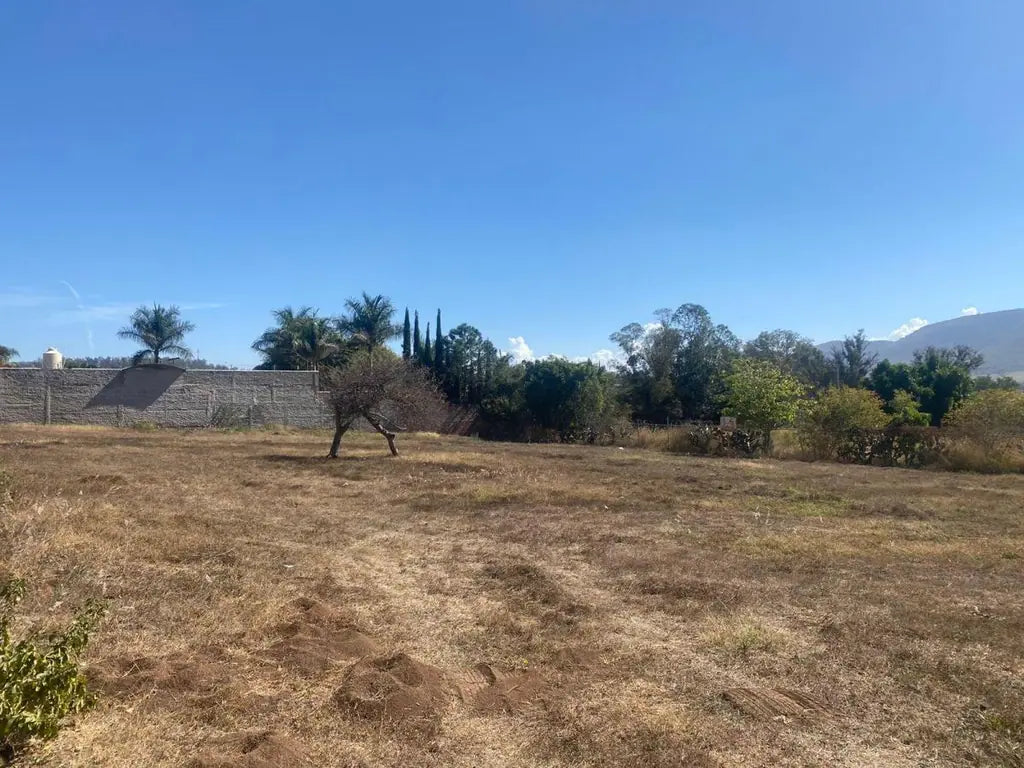 Terreno en Venta en Buena Vista, Ixtlahuacán de los Membrillos, Jalisco